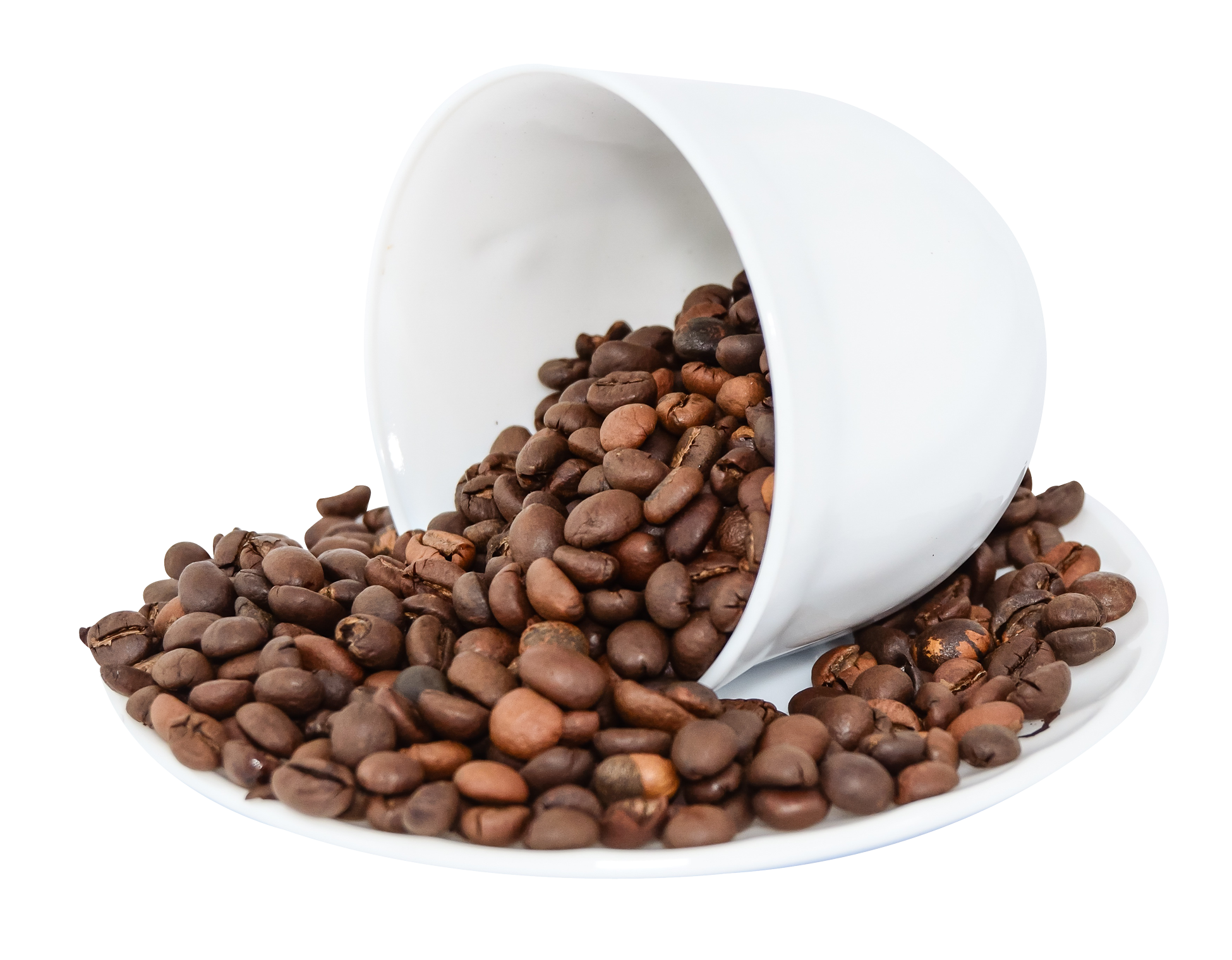 Coffee Concerns Beans Cape Lawn PNG