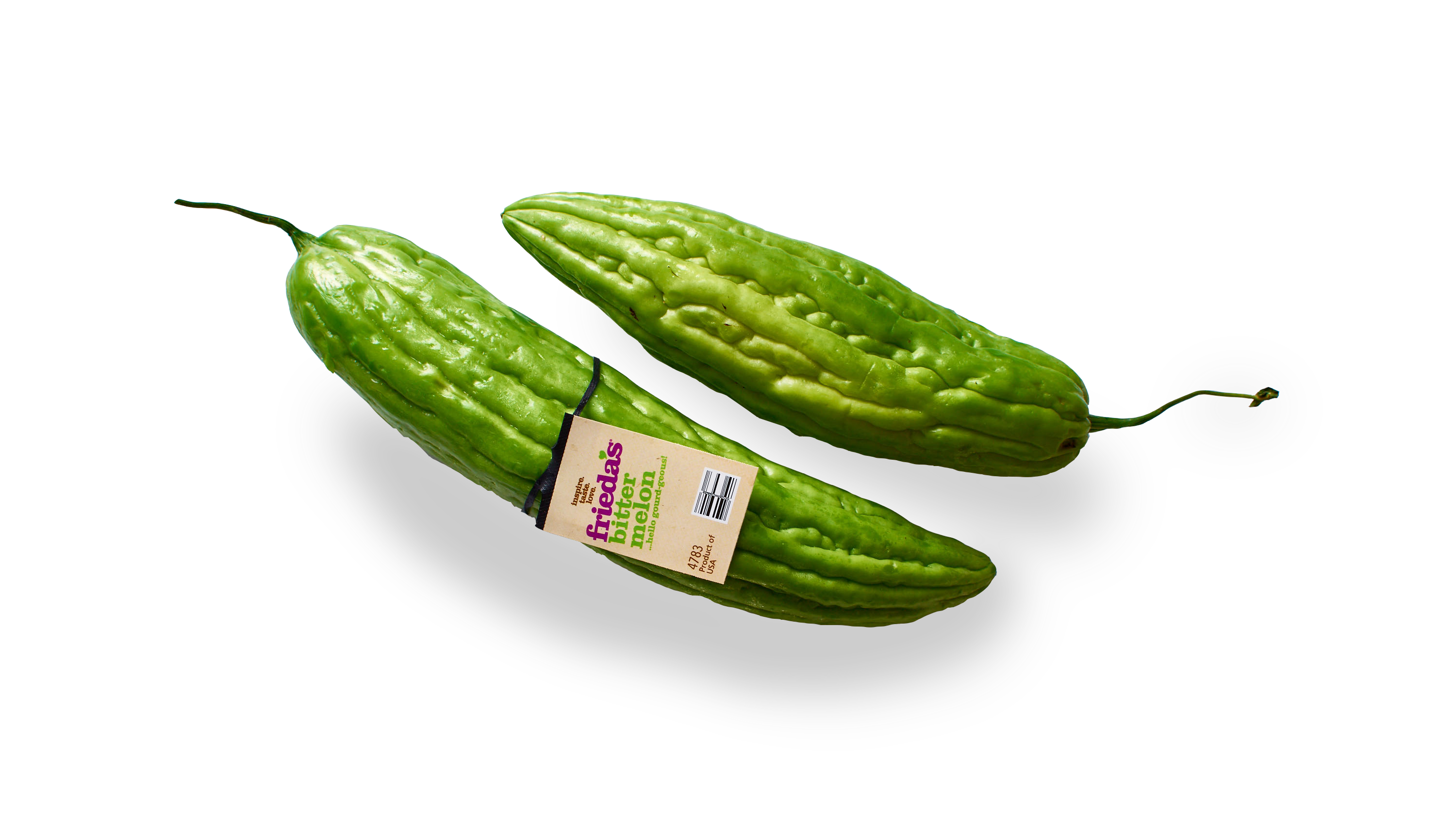 Unripened Gourd Amenity Common Vegetables PNG