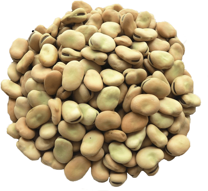 Unseasoned Vegetables Naif Beans Immature PNG