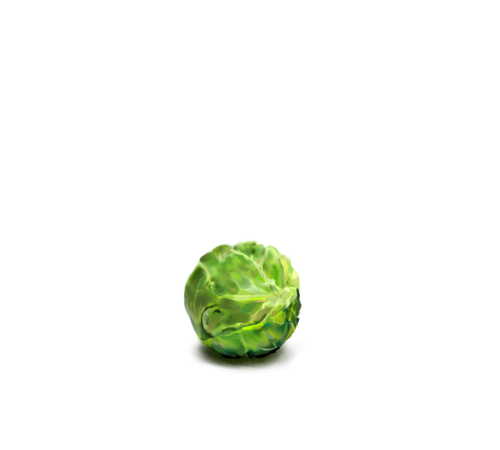 Brussels Vegetable Green Cape Naif PNG