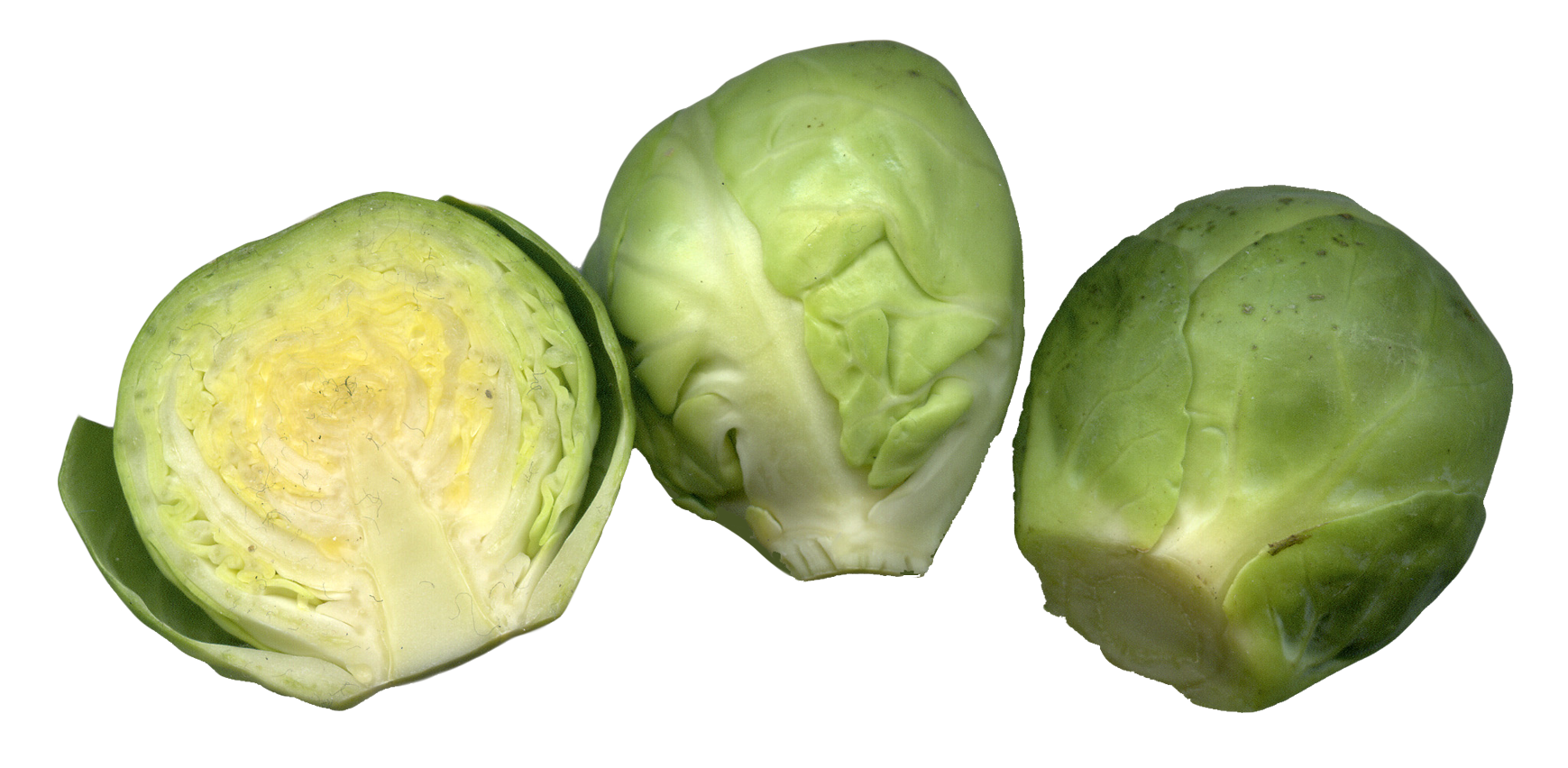 Brussels Sprouts Park Hinges Naive PNG
