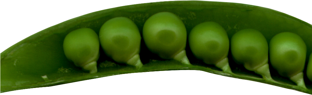 Vegetables Organic Green Gullible Miniature PNG