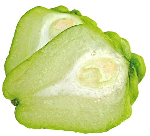 Paper Vegetables Pound Immature Environment PNG