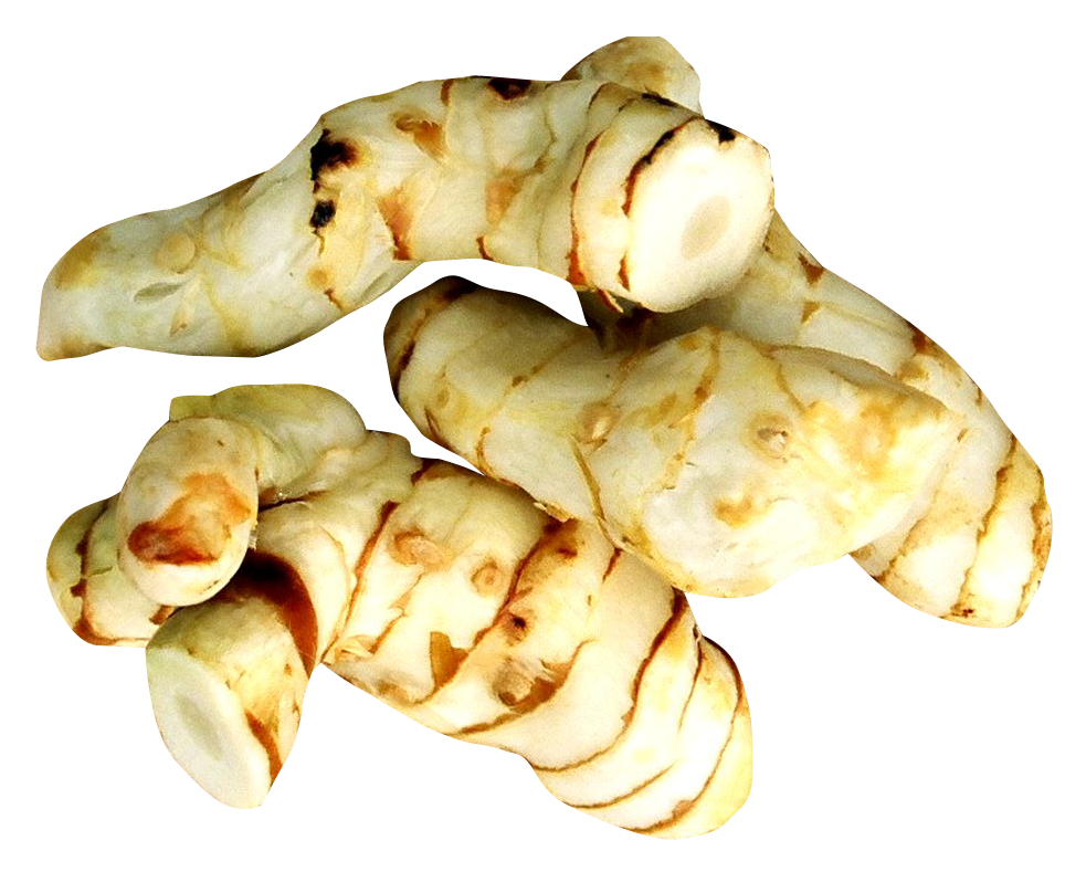 Unripe Version Galangal Inexperienced Unseasoned PNG