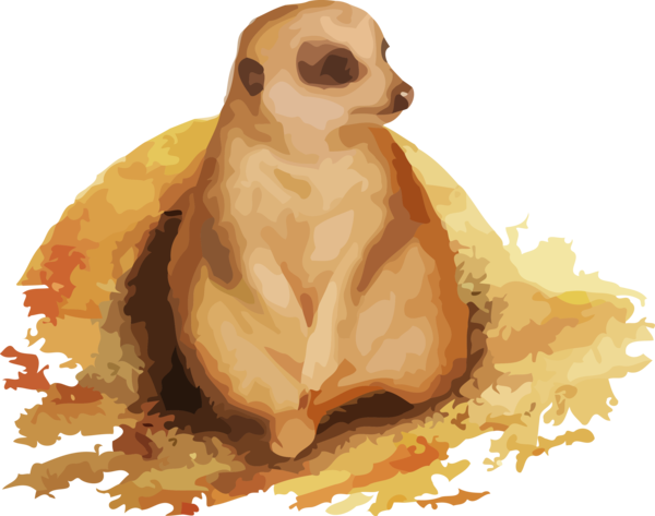 For Ball Meerkat Day Fawn PNG
