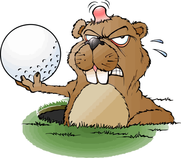 Groundhog Resolutions Day For Cartoon PNG