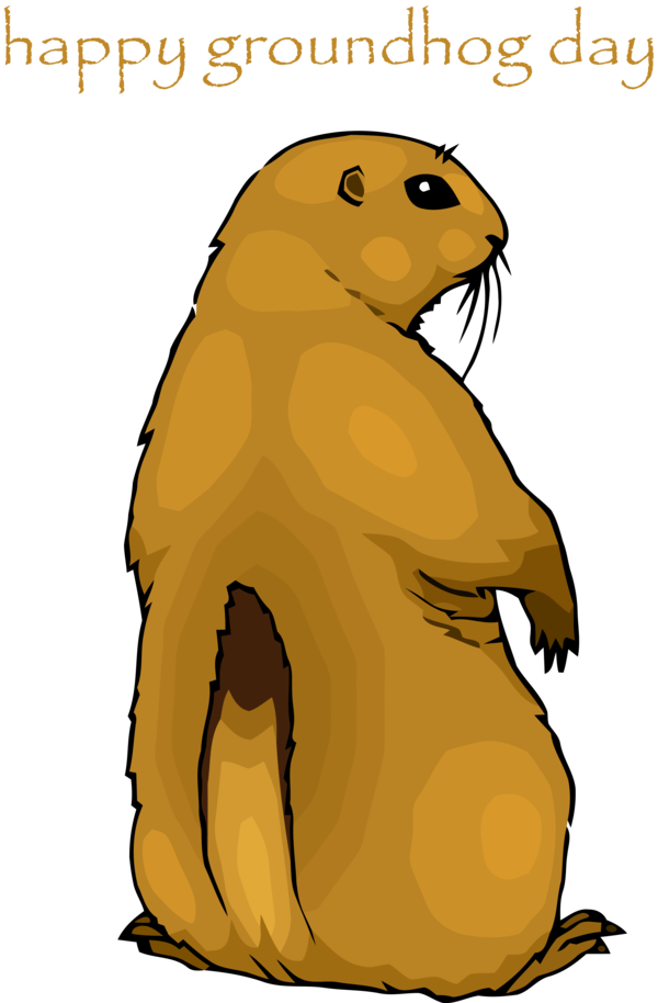 Gopher Marmot Party Day 2020 PNG