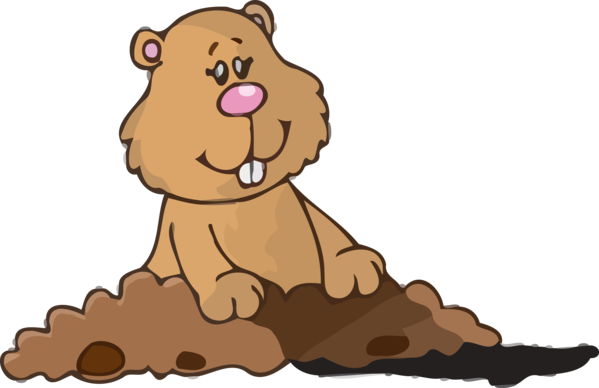 For Brown Day Grizzly Bear PNG