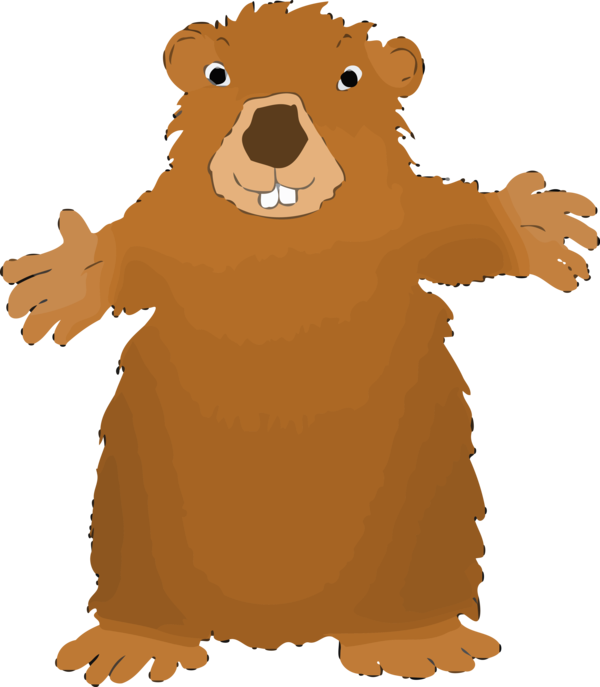 Traditions For Day Cartoon Groundhog PNG