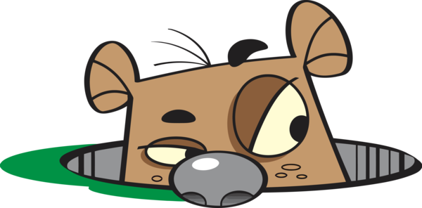 Around Groundhog For Cartoon World PNG