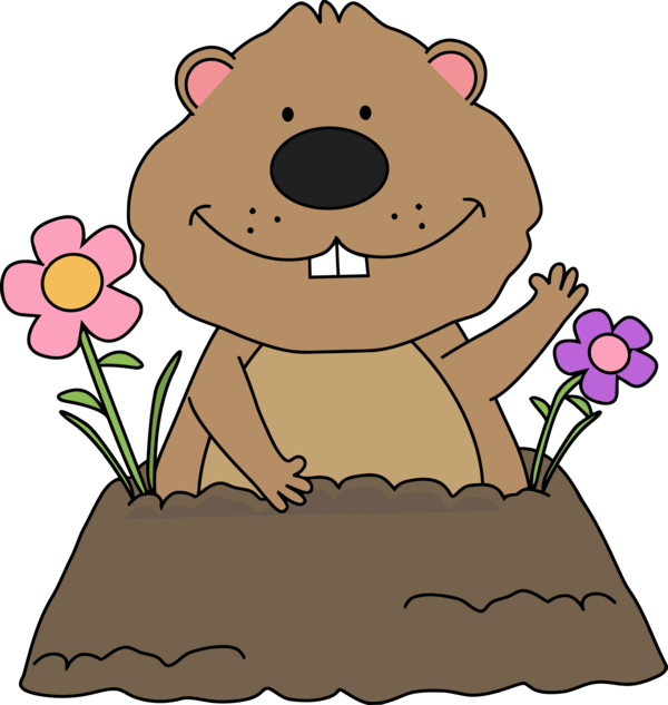 Plant Flower For Groundhog Party PNG