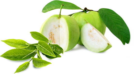 Capsicum Melon Fruits Guava Kumquats PNG