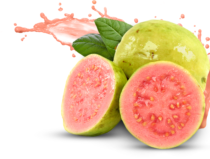 Papaya Lemongrass Plantain Kumquats Pink PNG