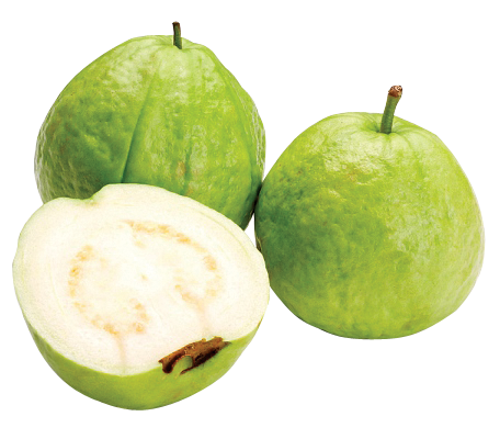 Zucchini Tour Colorful Litchi Guava PNG