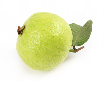 Morning Snack Guava Yummy Cassia PNG