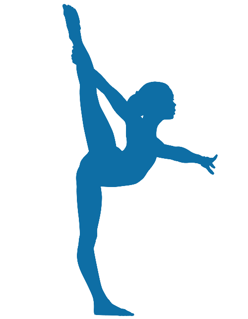 Teams Fans Gymnastics Active Pony PNG