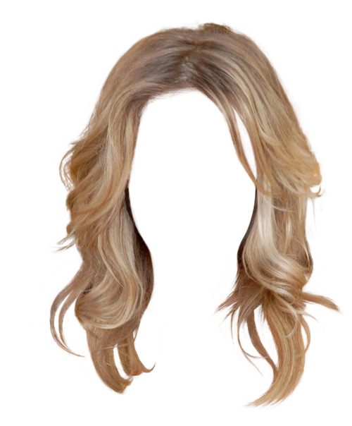 Wardrobes Manes Hairstyles Chignons Hairlines PNG