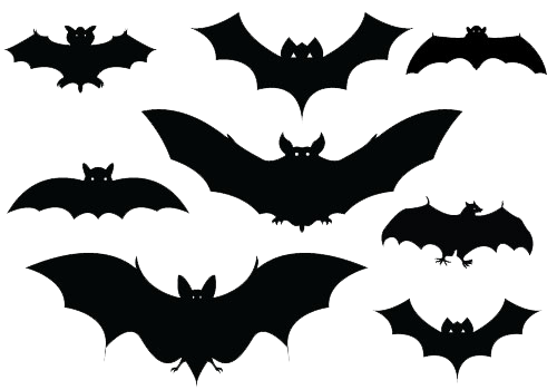 Bat Wallpaper Wreath Fest Halloween PNG