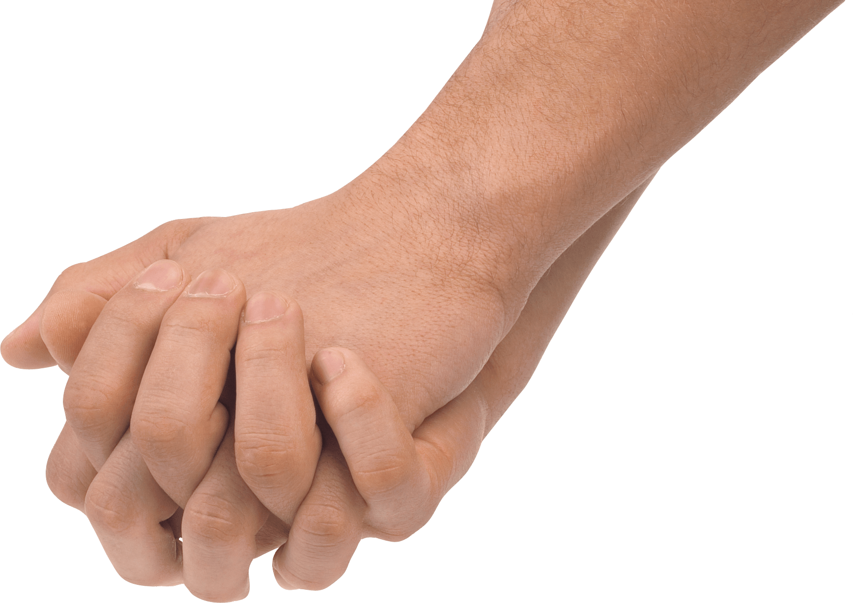 Sins Workforce Fingernails Claws Hands PNG
