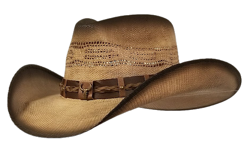 Hat Sunhat Hairstyle Beige Hitter PNG