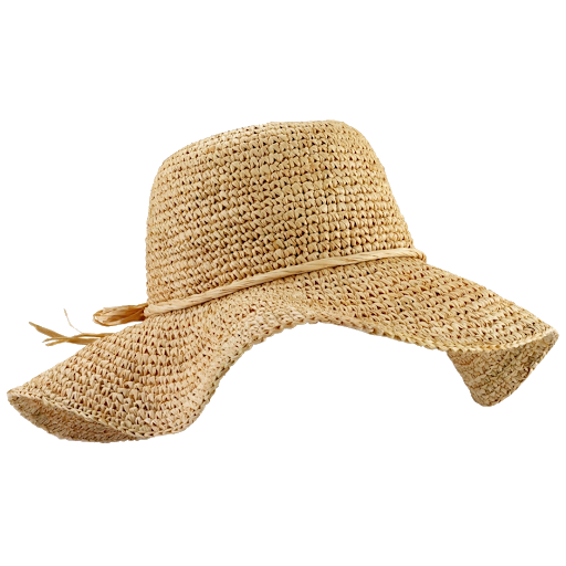 Sunhat Straw Roof Noodle Hat PNG