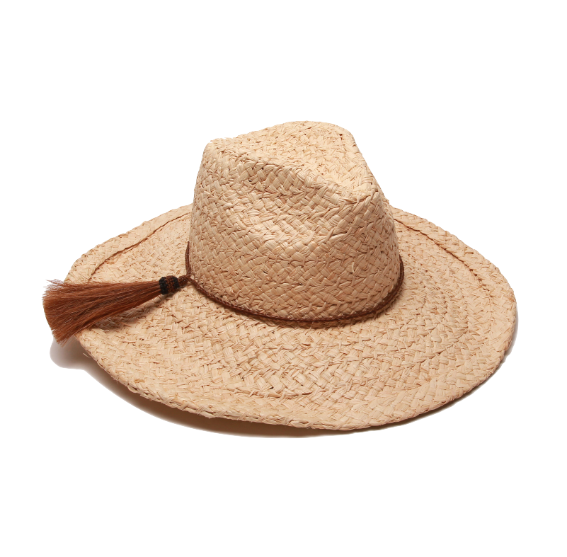 Chapeau Hood Hat Lid Raffia PNG