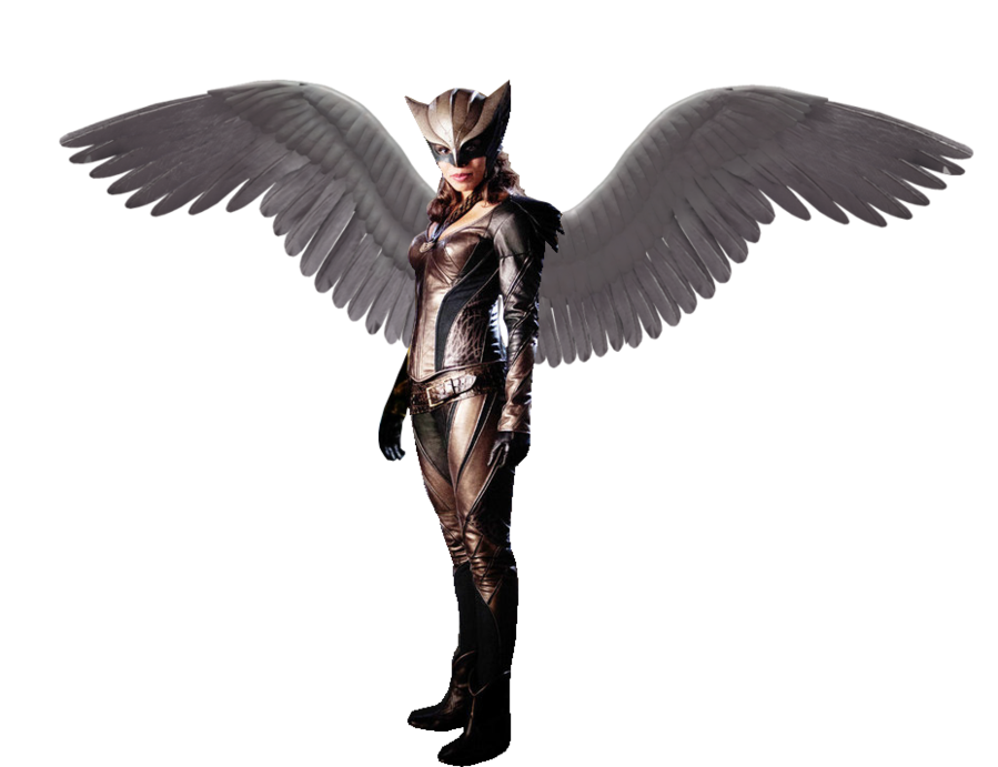 Cat Cosplay Animation Hawkgirl Video PNG