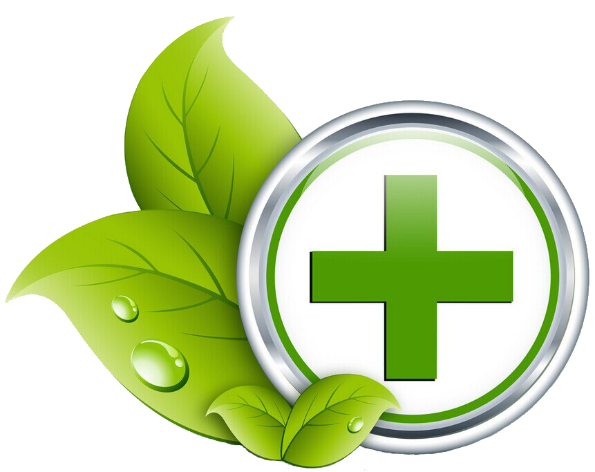 Services Health Healthcare Green Medicine PNG