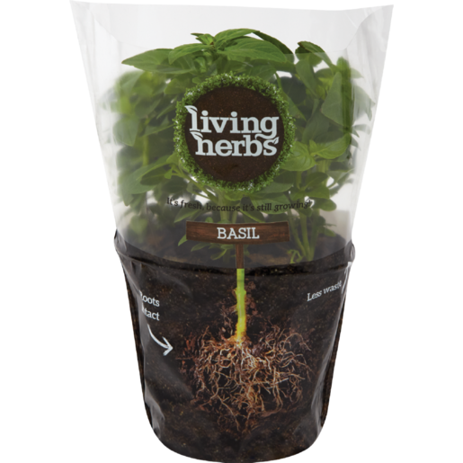 Herbs Food Leaf Rhubarb Basil PNG