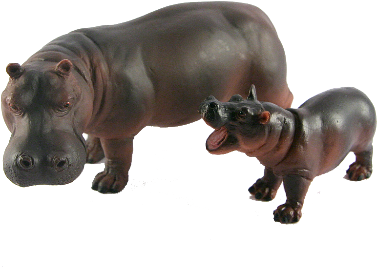 Hippo Wild Animals PNG
