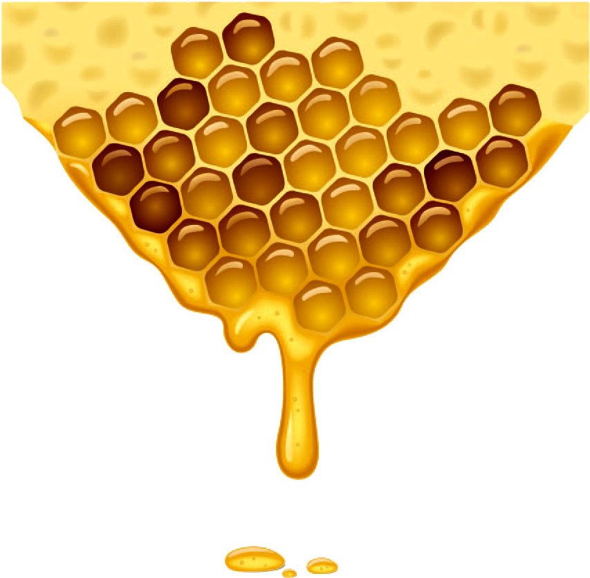 Dears Hotness Honeycomb Suckles Organic PNG
