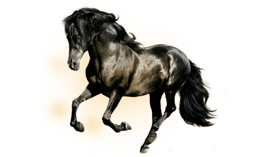 Evener Black Mule Smack Rides PNG