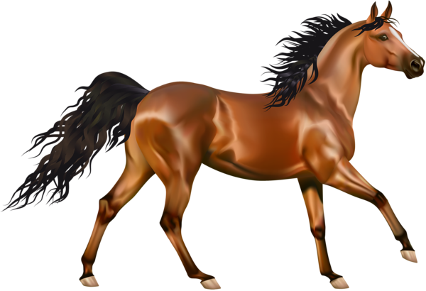 Yearling Horsepower Heroin Cavalry Brown PNG