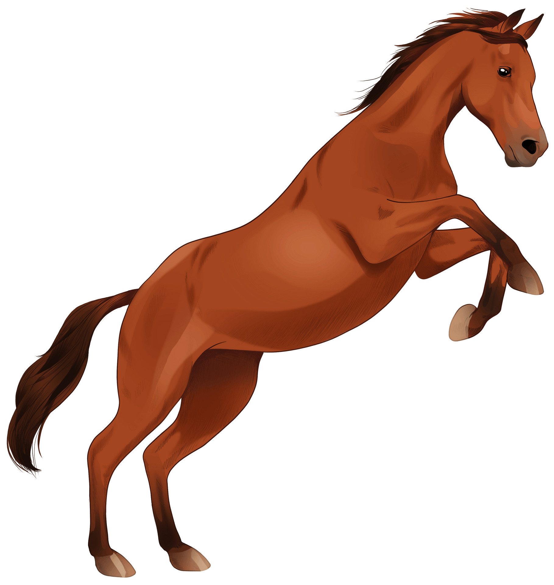 Arabian Mare Cavalry Horse Appaloosa PNG