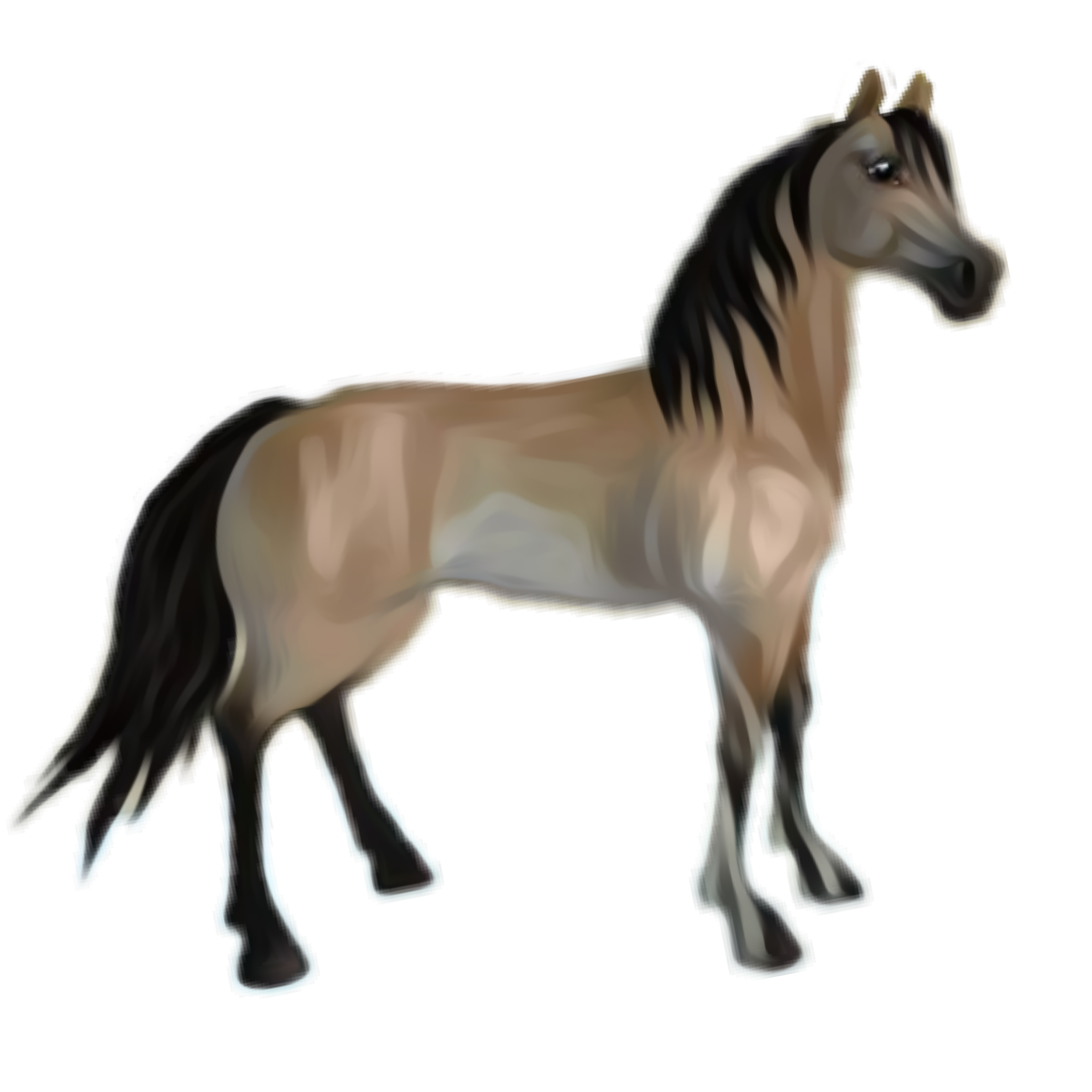 Falls Horse Horsepower Equine Cavalry PNG