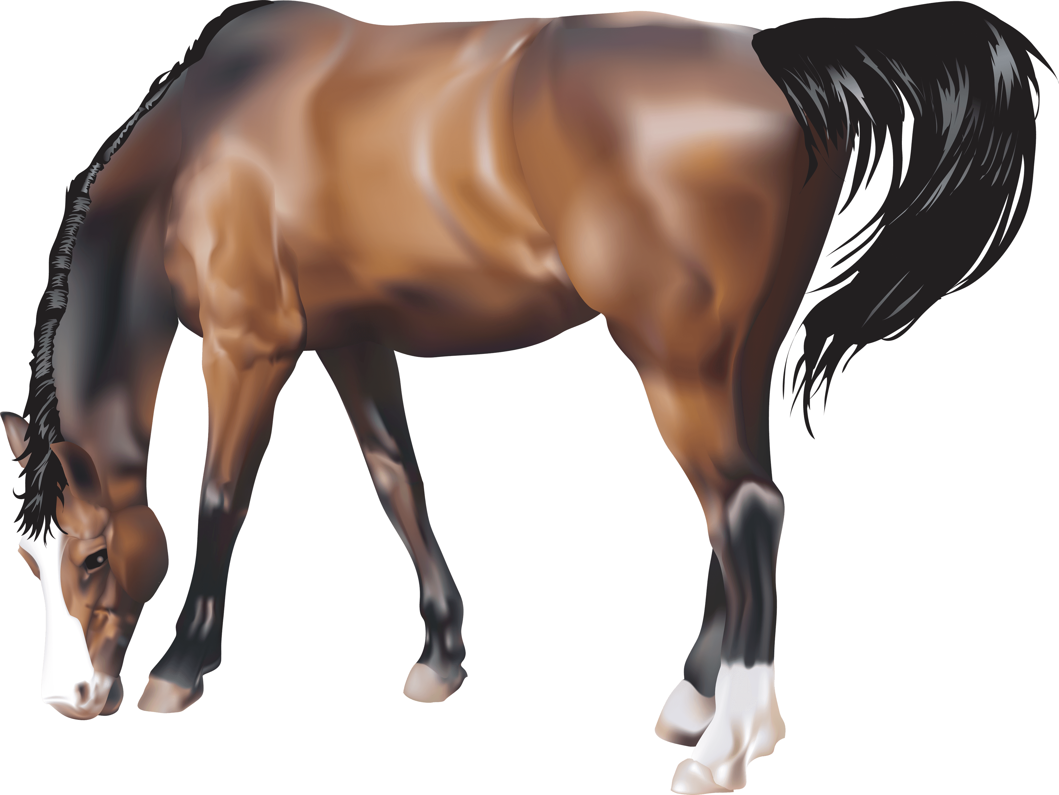Pony Heroin Equestrian Background Cow PNG