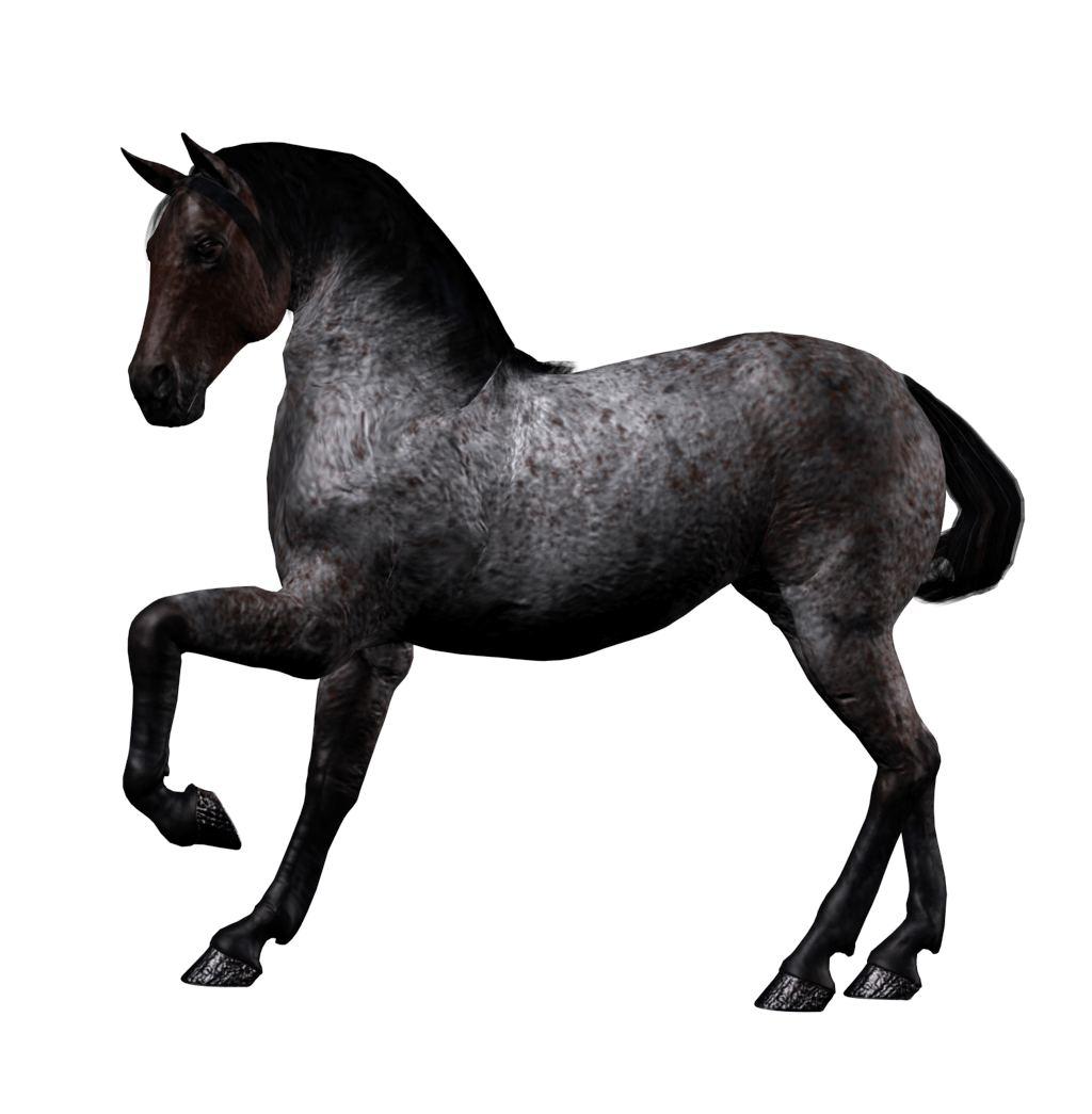 Day Horseback Stallion Knight Smack PNG