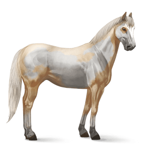Biology Awesome Equine Junk Stallion PNG