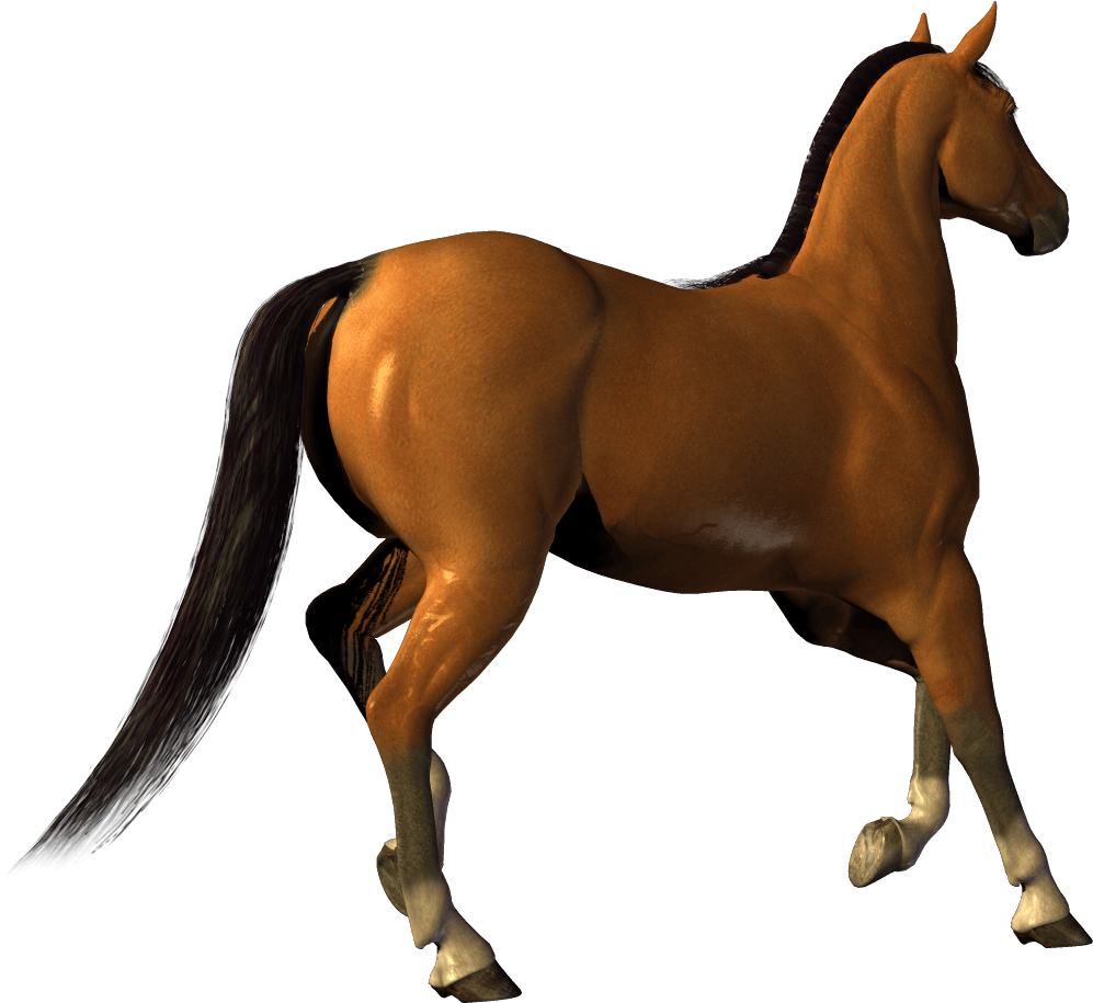 Sawbuck Junk Horse Horsey Awesome PNG