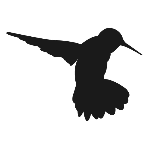 Junco Songbirds Silhouette Sapsucker Grosbeak PNG