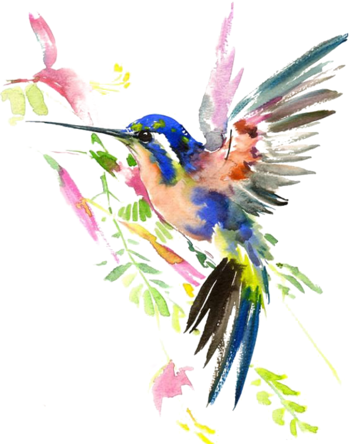 Bumblebee Finches Squirrel Flower Hummingbird PNG