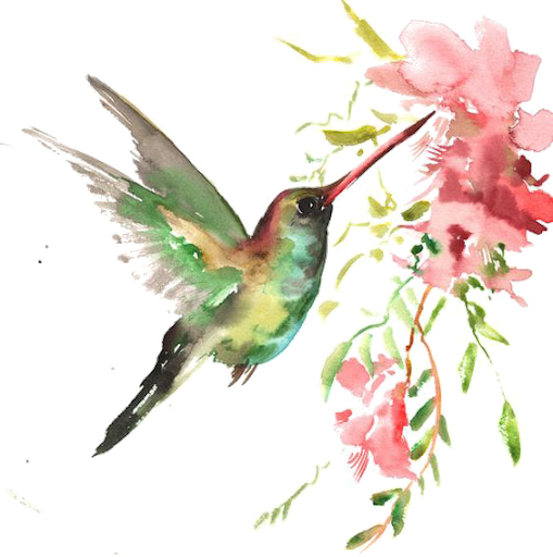 Hummingbird Swallowtail Watercolor Blackbird Wren PNG