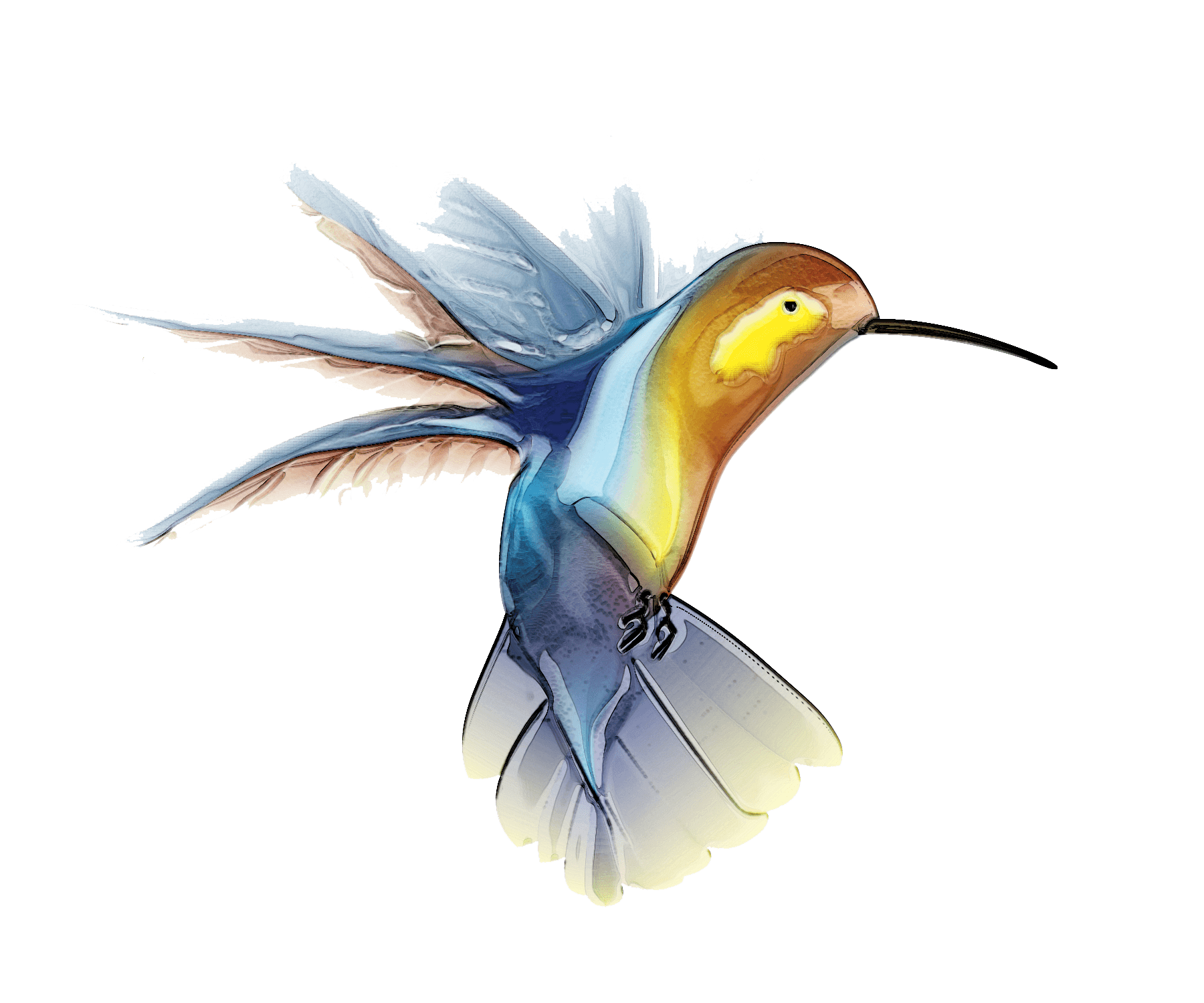 Animals Heron Hummingbird Watercolor Wren PNG