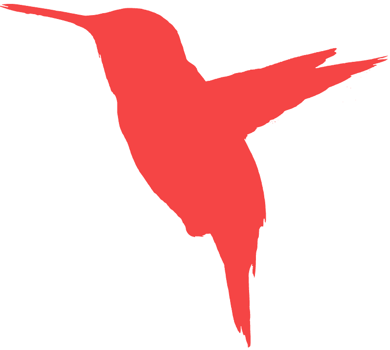 Silhouette Animals Hummingbird Vireo Quality PNG