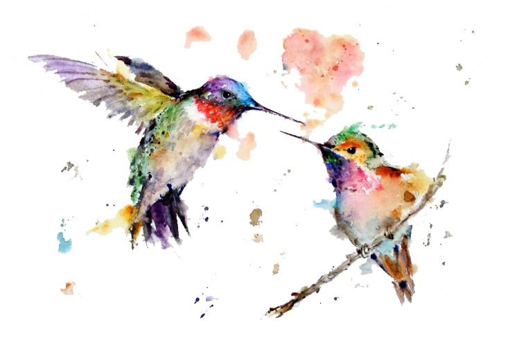 Animals Watercolor Hummingbird PNG