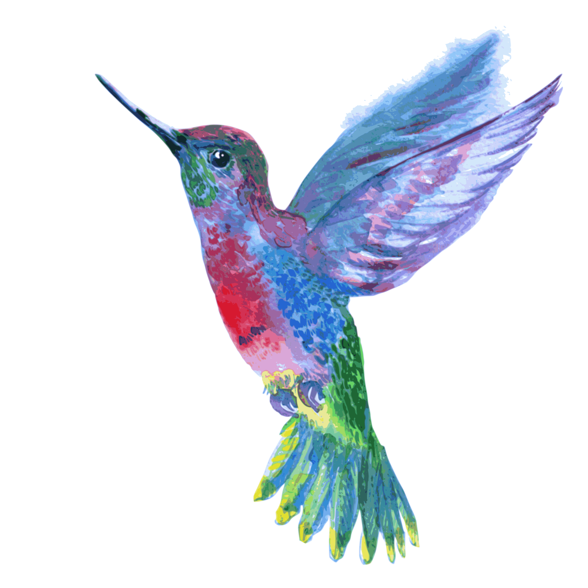 Animals Watercolor Hummingbird PNG