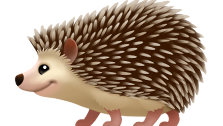 Netbook Sonic Mammal Quality High PNG