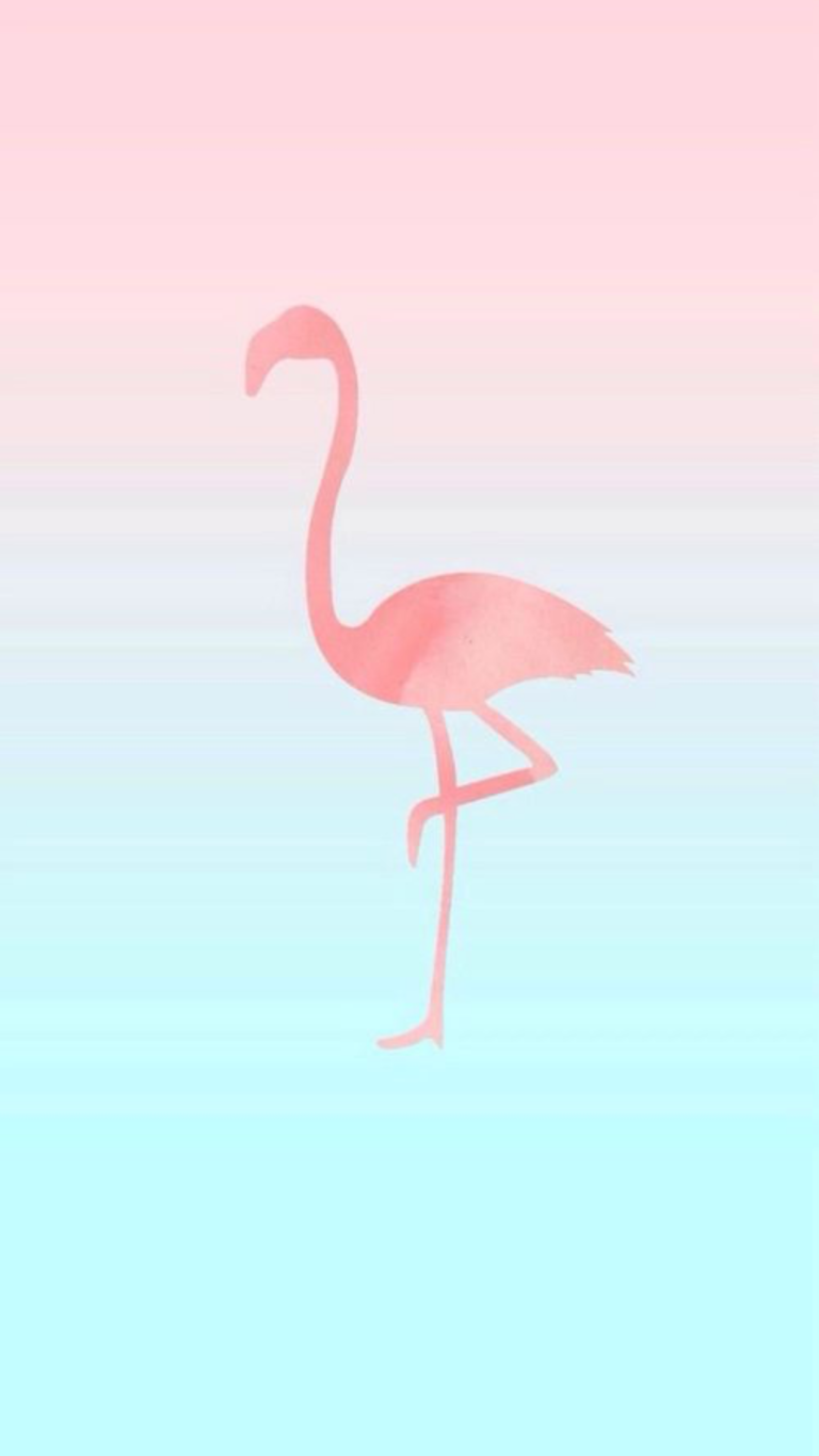 Flamingos Beak Desktop Flamingo Wing PNG