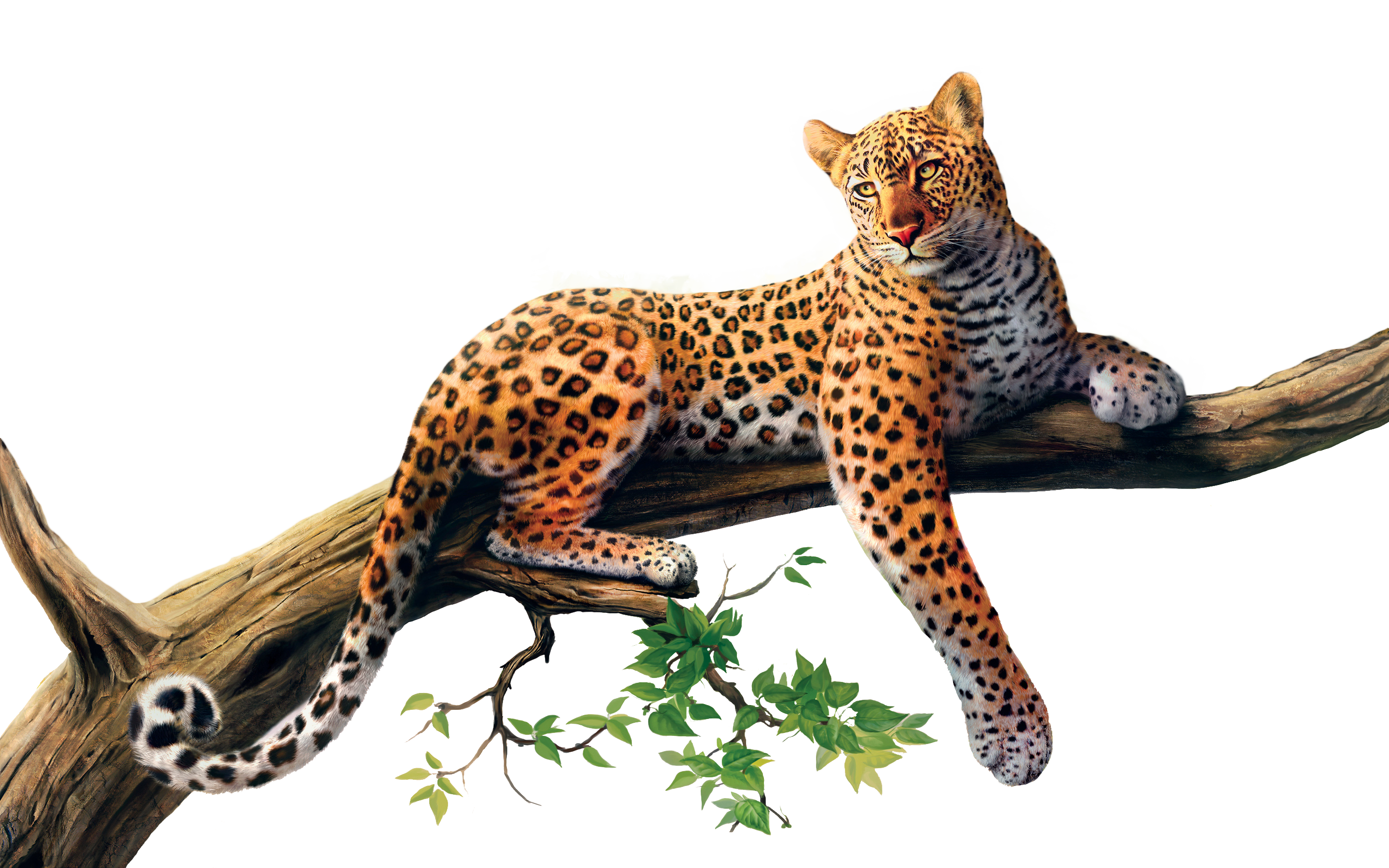 Awesome Jaguar Jag Snakes Panther PNG