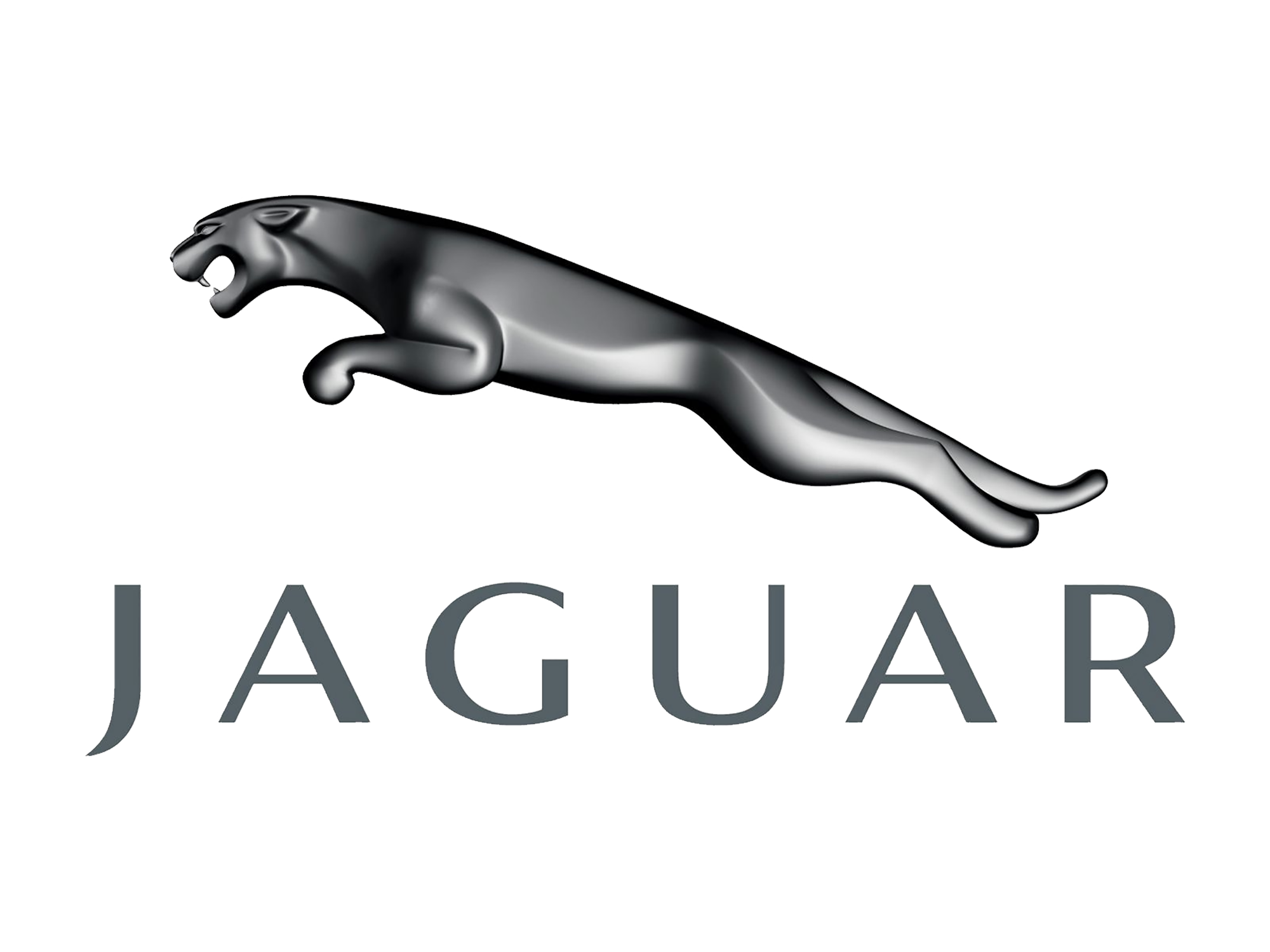 Grizzly Jaguar High E-Type Text PNG
